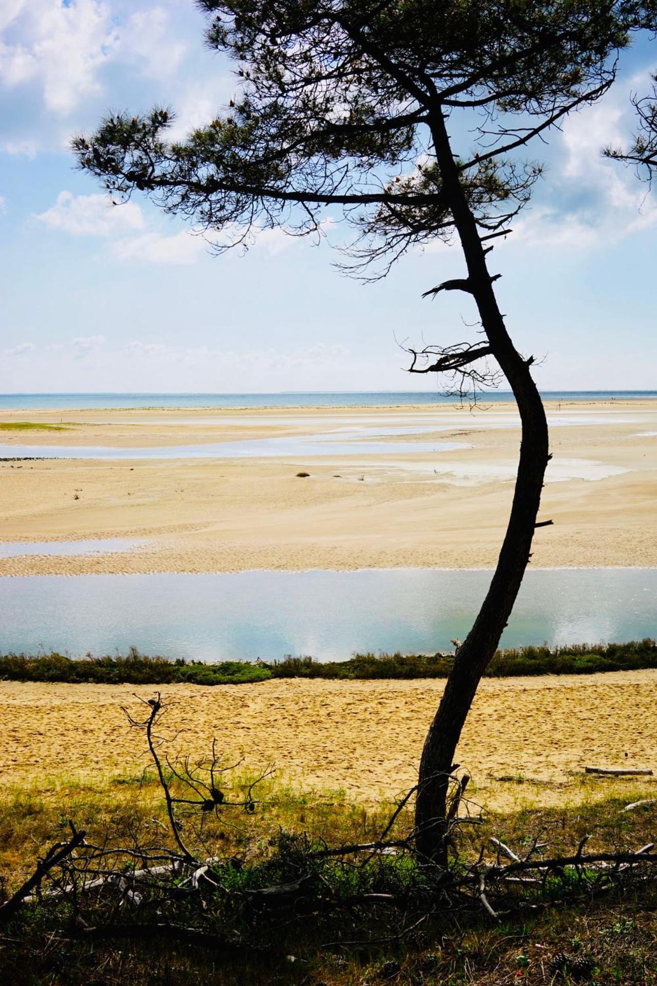 Gîte de caractère à moins de 10min des plages Saint-Michel-en-l'Herm Exterior foto