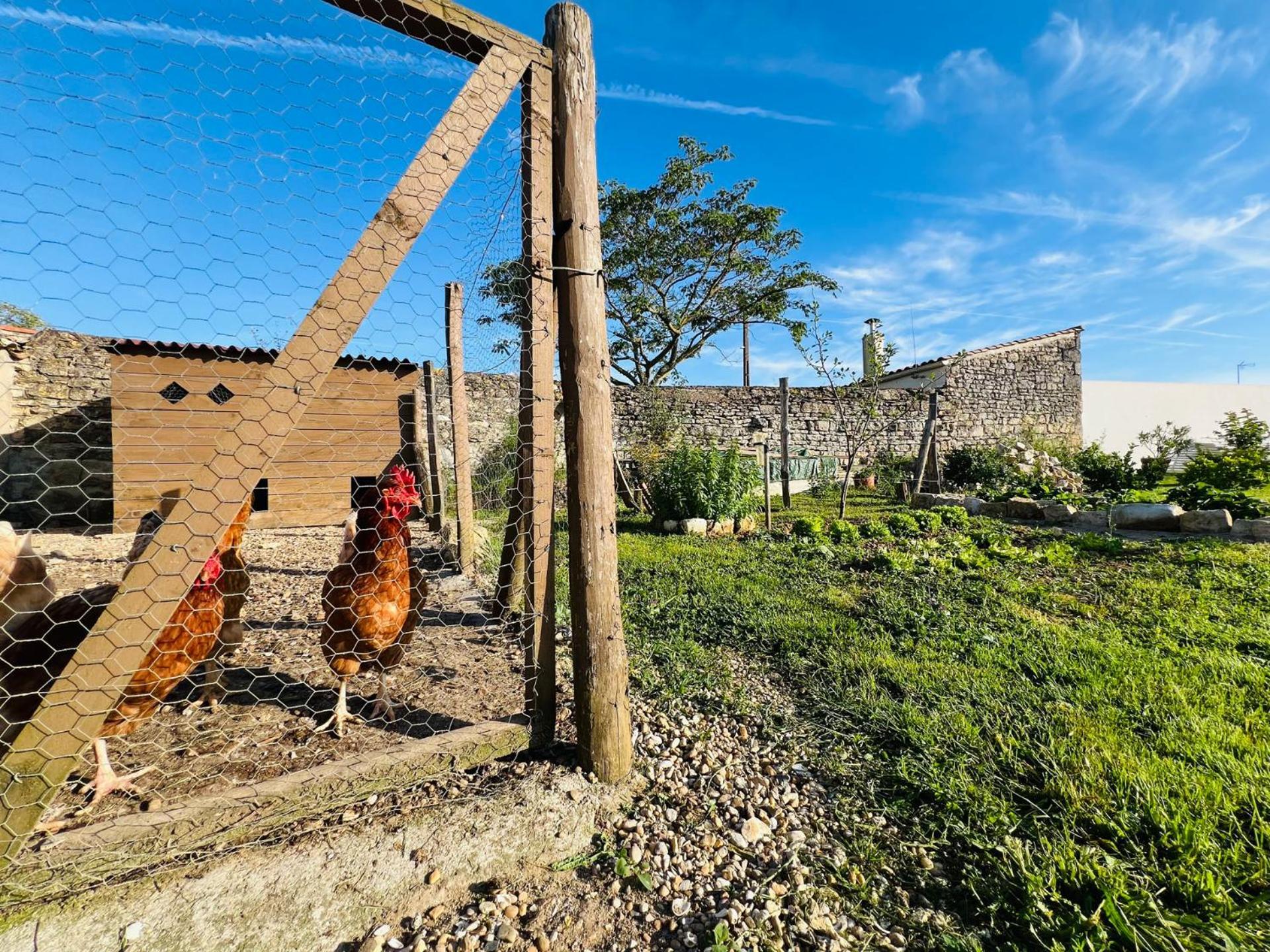 Gîte de caractère à moins de 10min des plages Saint-Michel-en-l'Herm Exterior foto